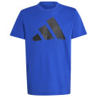 ROYBLU/BLACK